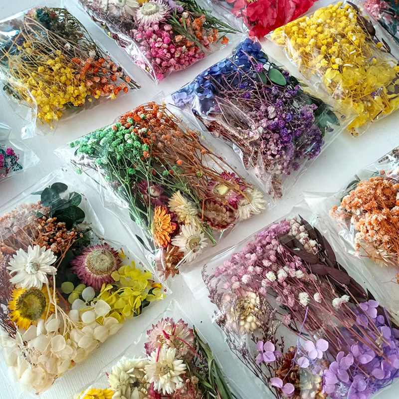 1 Packung verschiedene getrock – Craft Embellishment Bewertung und Preis
