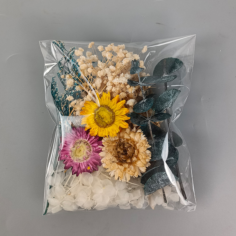 1 Packung verschiedene getrock – Craft Embellishment Bewertung und Preis